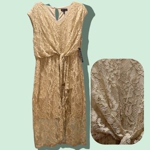 #571 NWT Plus Size Luxology Cream/Tan Lace Overlay Dress
